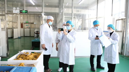 大連自貿片區推出食品生產加工“5G+AR”智慧監管新模式，賦能健康管理與咨詢