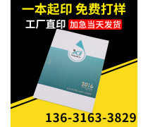 動(dòng)漫設(shè)計(jì)宣傳畫冊(cè) 創(chuàng)意與視覺(jué)的完美融合